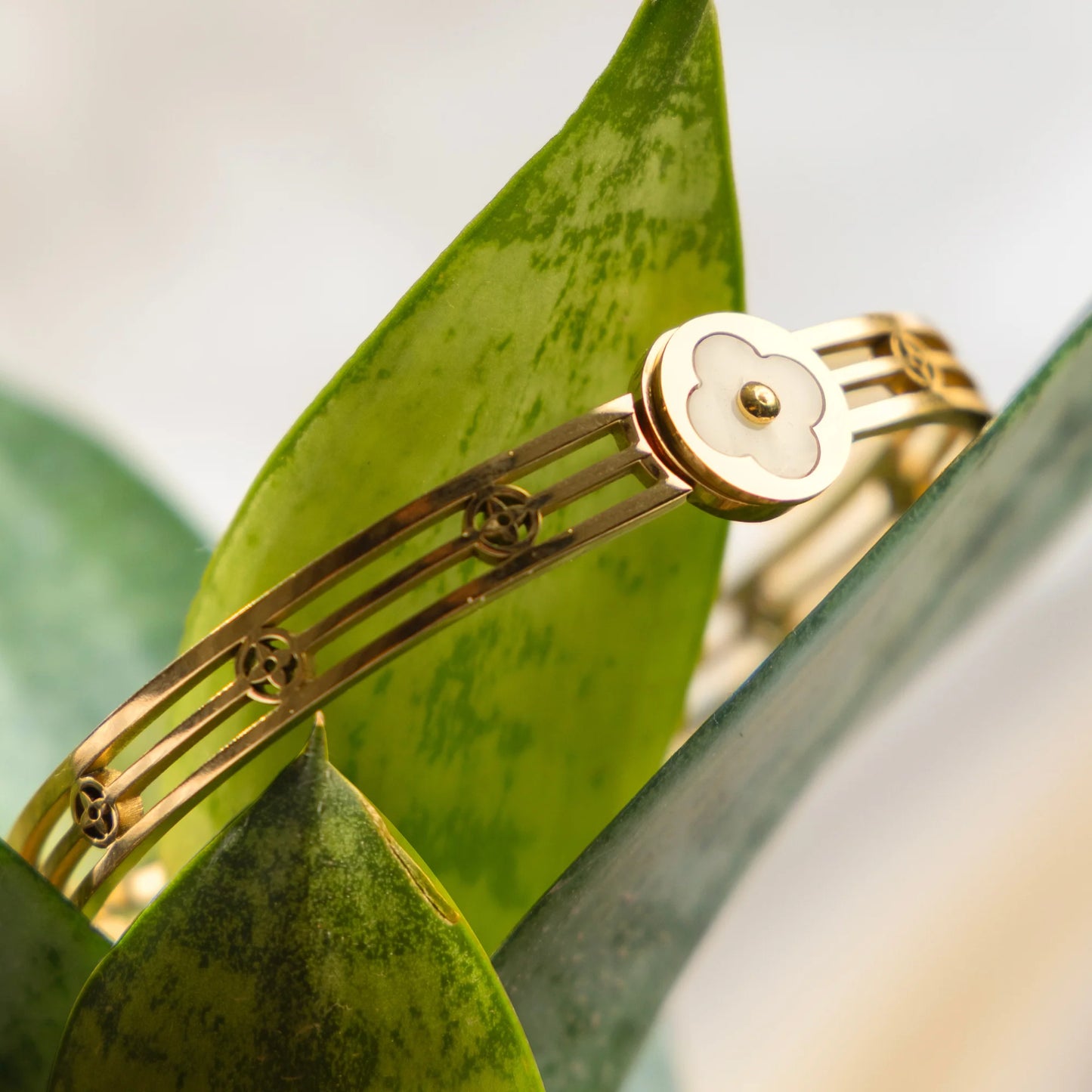 18K Gold Plated Anti-Tarnish Snow Flora Bracelet – Elegant Designer Floral Cut Bangle for Women RGB513
